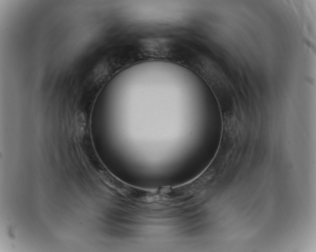 X0000099230752200805011136