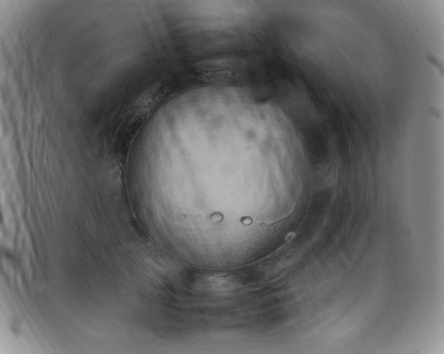 X0000099230753200805011136