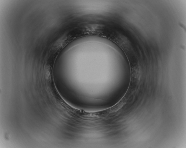 X0000099230754200805011136