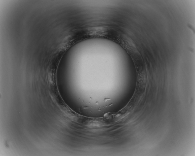 X0000099230755200805011136