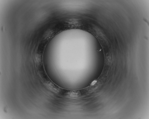 X0000099230756200805011136