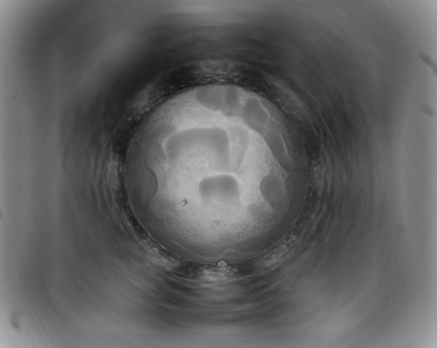 X0000099230757200805011136