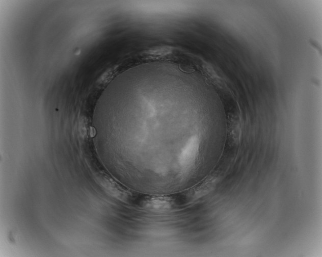 X0000099230758200805011136