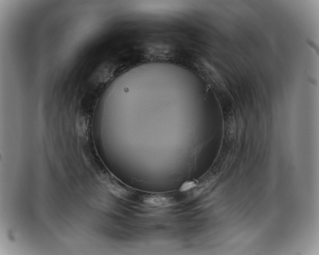 X0000099230759200805011136