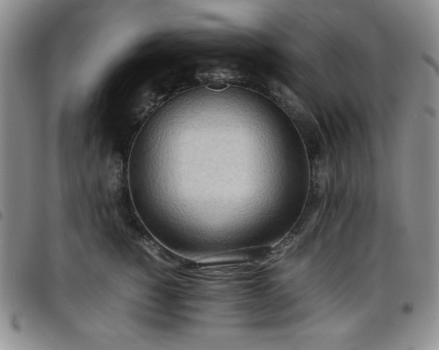 X0000099230760200805011136