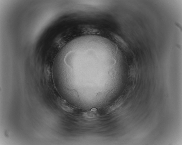 X0000099230761200805011136