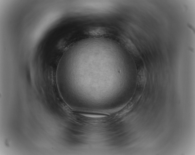 X0000099230762200805011136