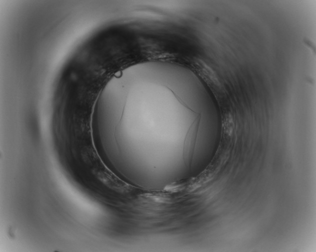 X0000099230763200805011136