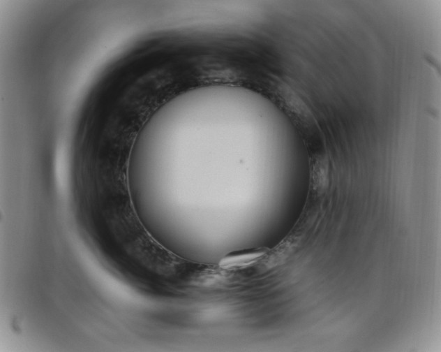 X0000099230764200805011136