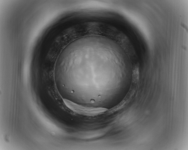 X0000099230765200805011136