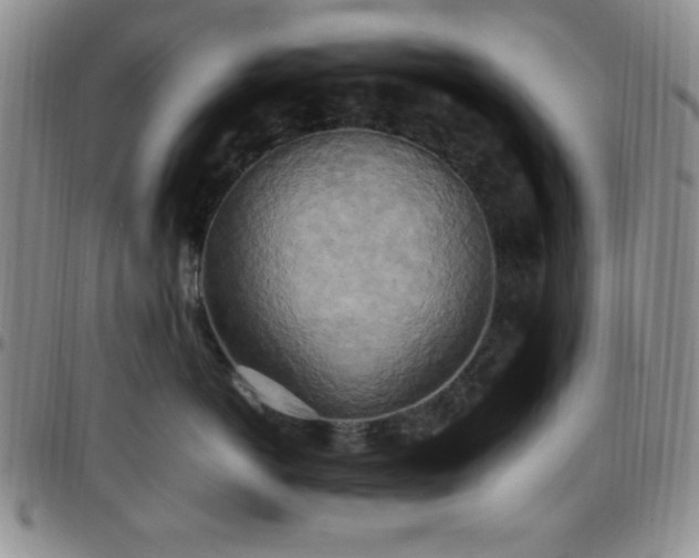 X0000099230766200805011136