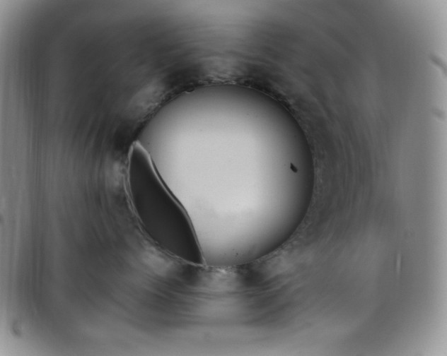 X0000099230768200805011136