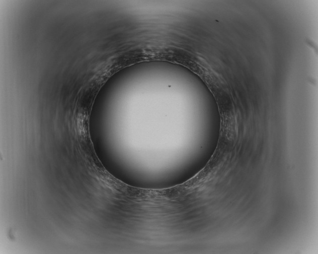 X0000099230770200805011136