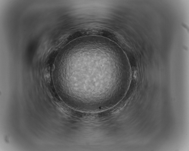 X0000099230771200805011136