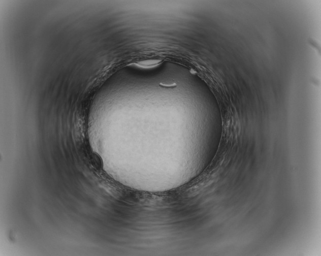 X0000099230772200805011136