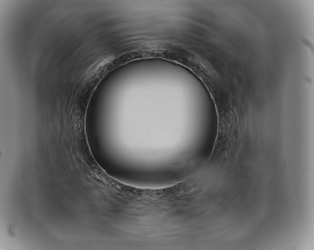 X0000099230773200805011136