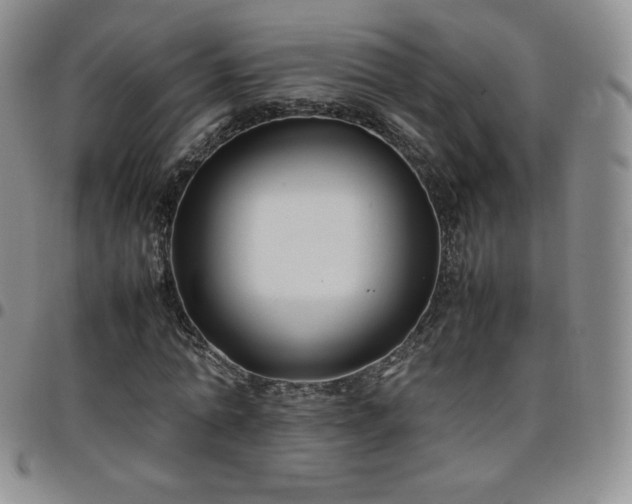 X0000099230774200805011136