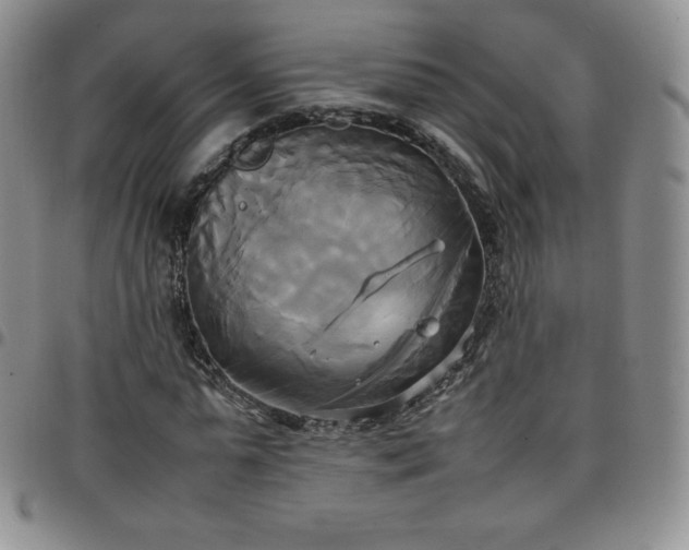 X0000099230775200805011136