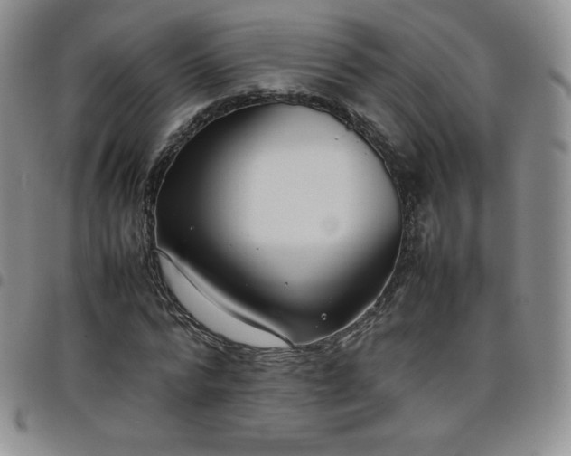 X0000099230776200805011136