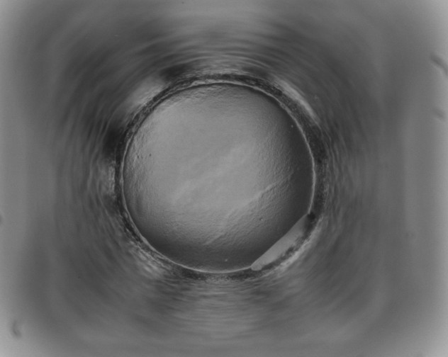 X0000099230777200805011136