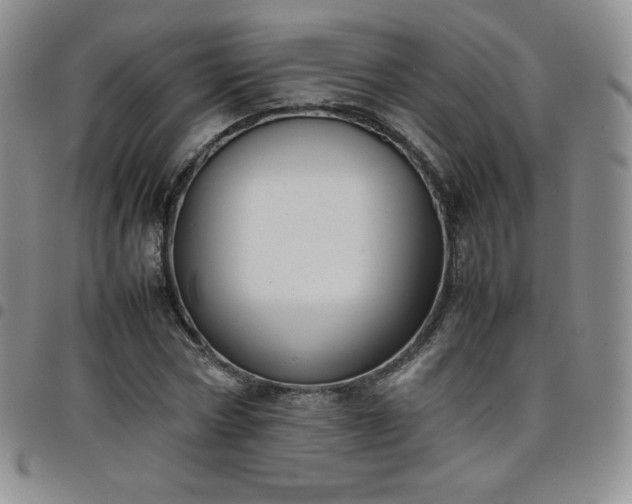 X0000099230778200805011136