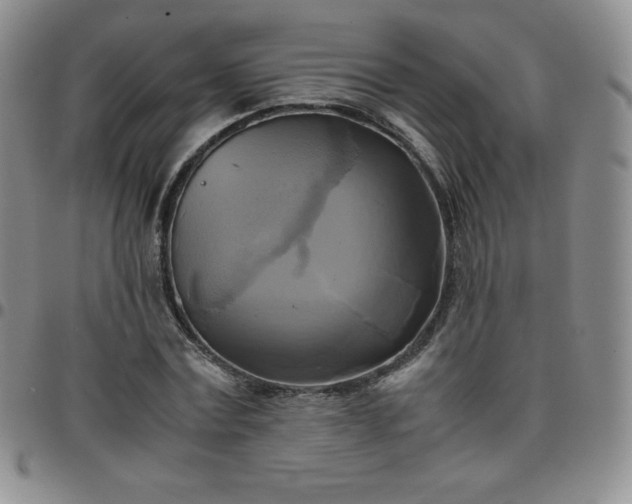 X0000099230779200805011136