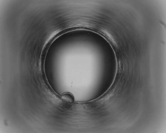 X0000099230780200805011136