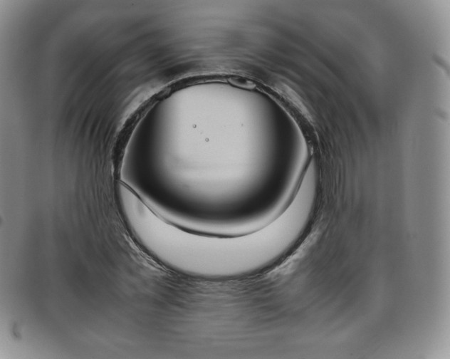 X0000099230781200805011136