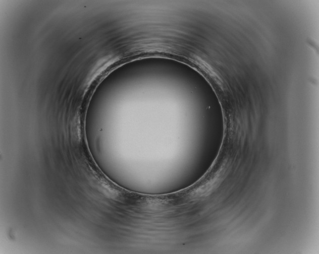 X0000099230782200805011136