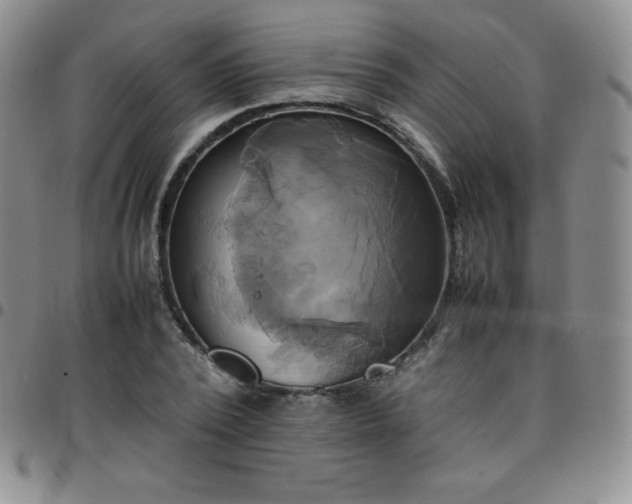 X0000099230784200805011136