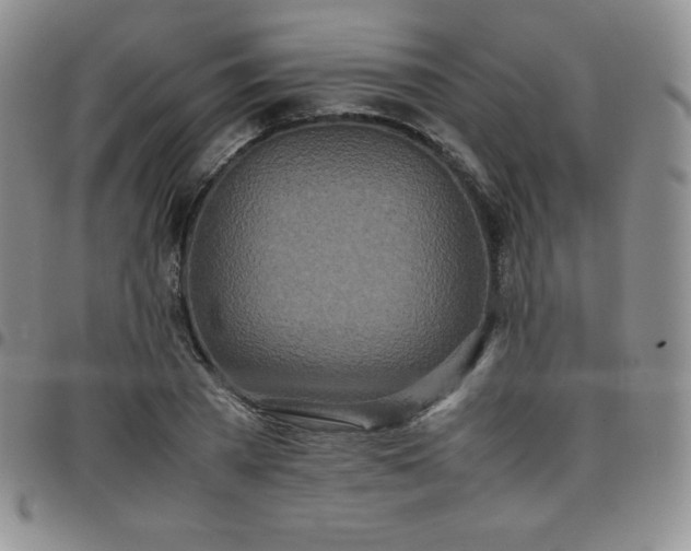 X0000099230785200805011136