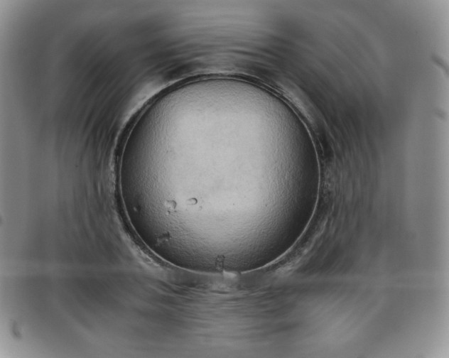 X0000099230787200805011136