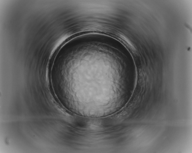 X0000099230788200805011136