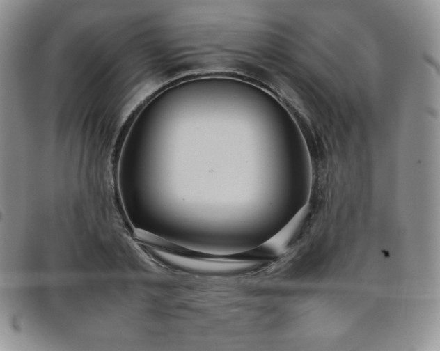 X0000099230789200805011136