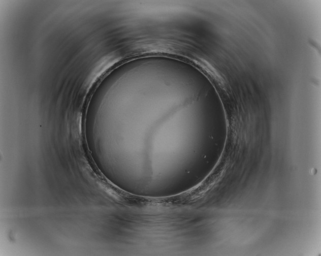 X0000099230790200805011136