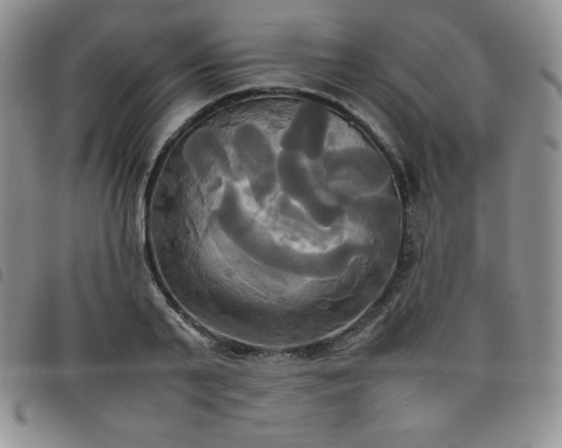 X0000099230791200805011136