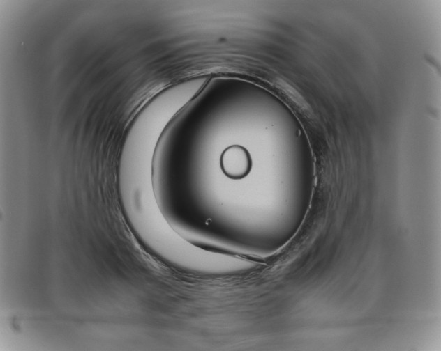 X0000099230793200805011135