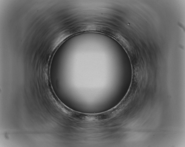 X0000099230794200805011135