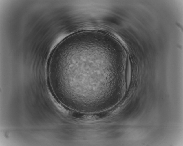 X0000099230795200805011135