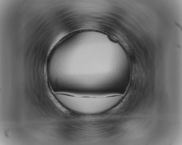 X0000099230796200805011135