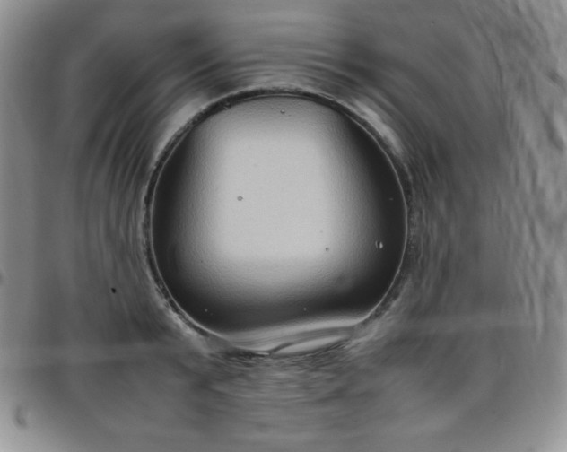 X0000099230799200805011135