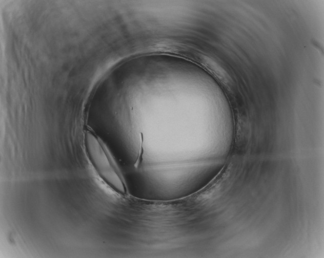 X0000099230800200805011135