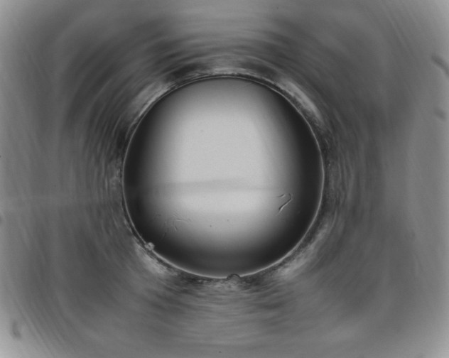 X0000099230801200805011135