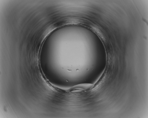 X0000099230802200805011135