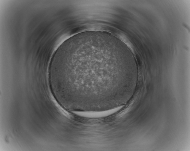 X0000099230803200805011135