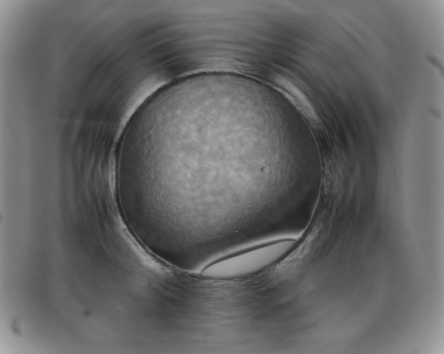 X0000099230804200805011135