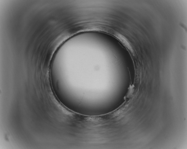 X0000099230805200805011135