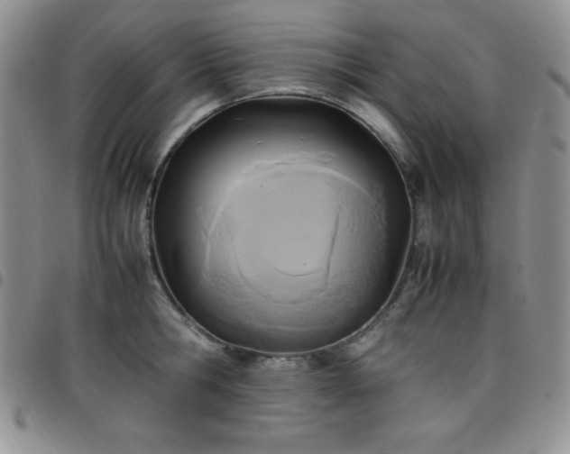 X0000099230806200805011135