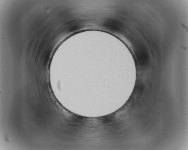 X0000099230807200805011135