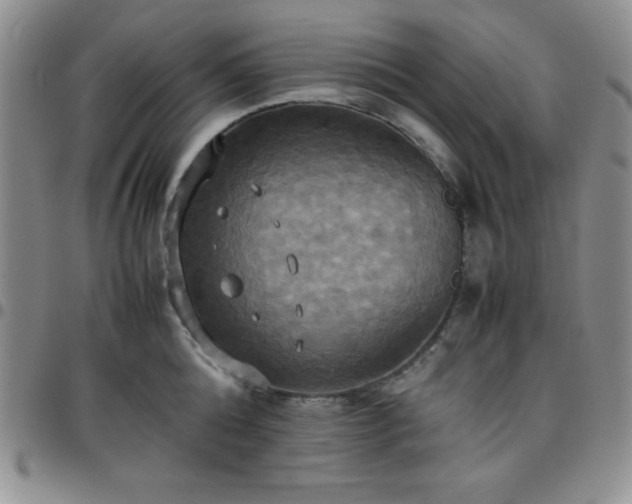 X0000099230808200805011135